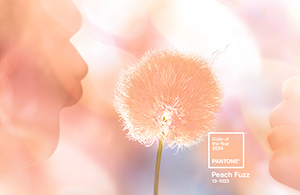 A peach-colored transluscent dandelion is being blown in the wind by peach lips. "Embrace the Warmth" PANTONE swatch Peach Fuzz