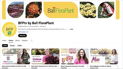 Screenshots of various flower videos