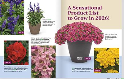 Open catalog pages with photos of colorful flowers
