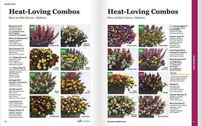Open catalog pages with colorful flowers