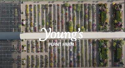 Drone image of Young's Plant Farm