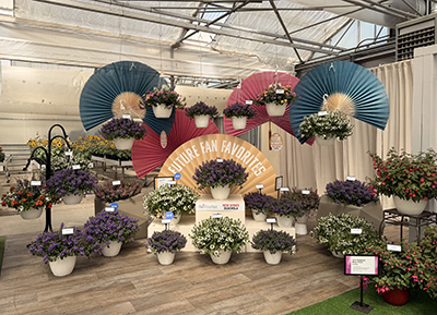 It was a fan theme at the Blazen Scaevola booth at CAST26