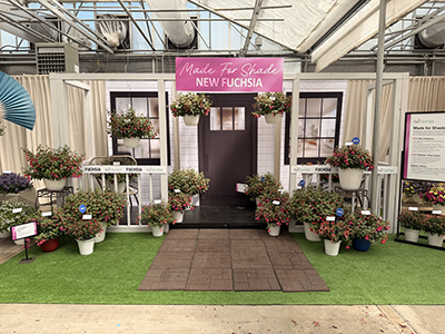 Ball FloraPlant's Fuchsia booth at CAST26 