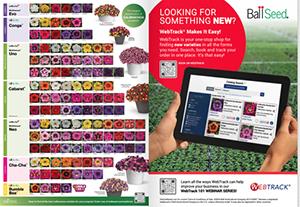 Catalog pages with calibrachoa bloom shots