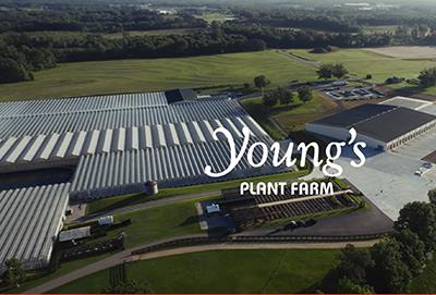 Young's Plant Farm drone view of the greenhouses