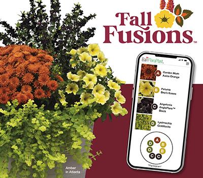 Fall plant combo with a mobile device showing a plantogram for ordering components.