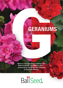 2026 Geranium Brochure