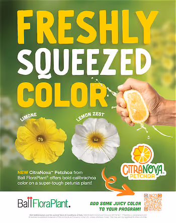 ad for Citranova Petchoa