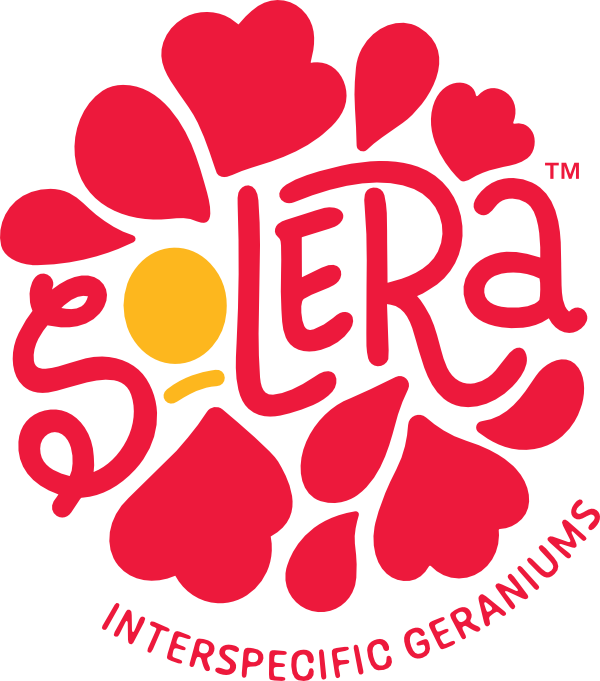 logo for Solera