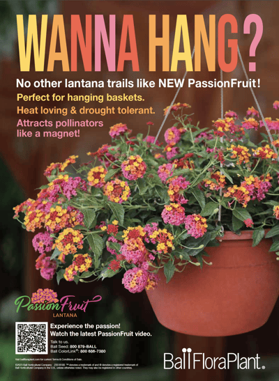 ad for PassionFruit Lantana