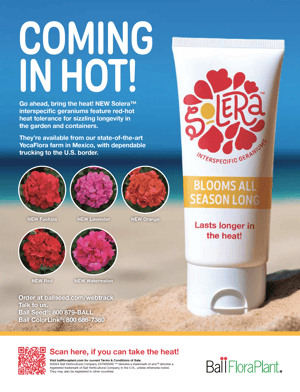 ad for Solera