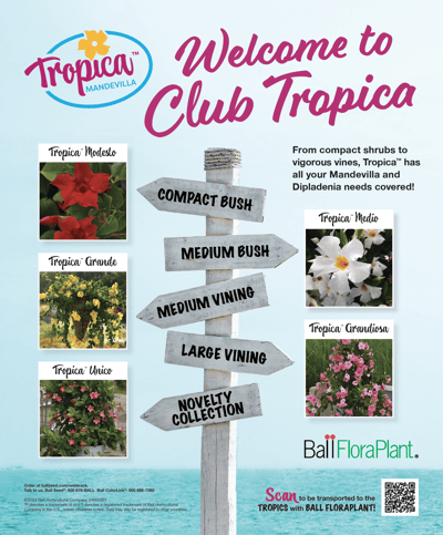 ad for Tropica
