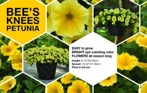 benchcard for Bee's Knees
