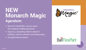 benchcard for Monarch Magic