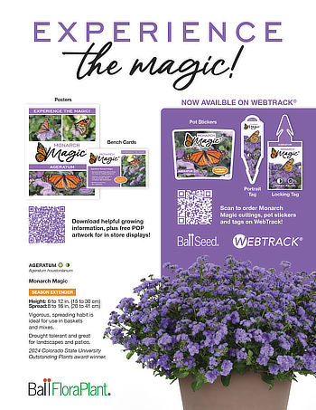 poster for Monarch Magic