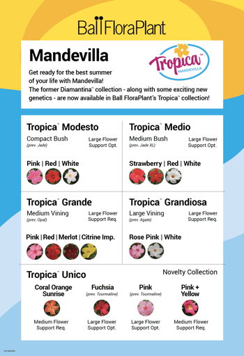 poster for Tropica