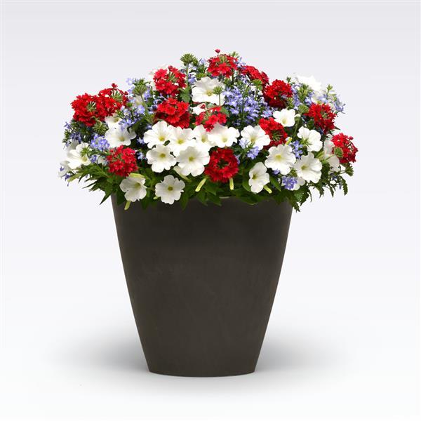 MixMasters™ Heartland 27