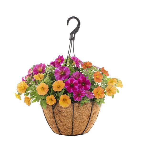 PLANT NAME Basket