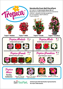 A screenshot of the new Tropica sell sheet