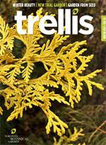Trellis magazine
