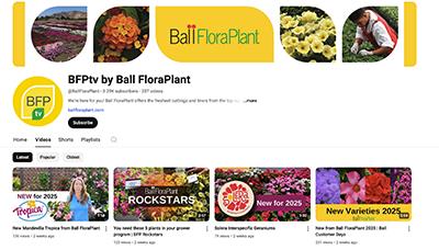 Screenshot of a page full of flower videos