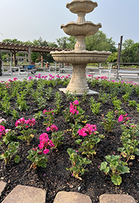 Stone fountain with pink flowers planted throughout.