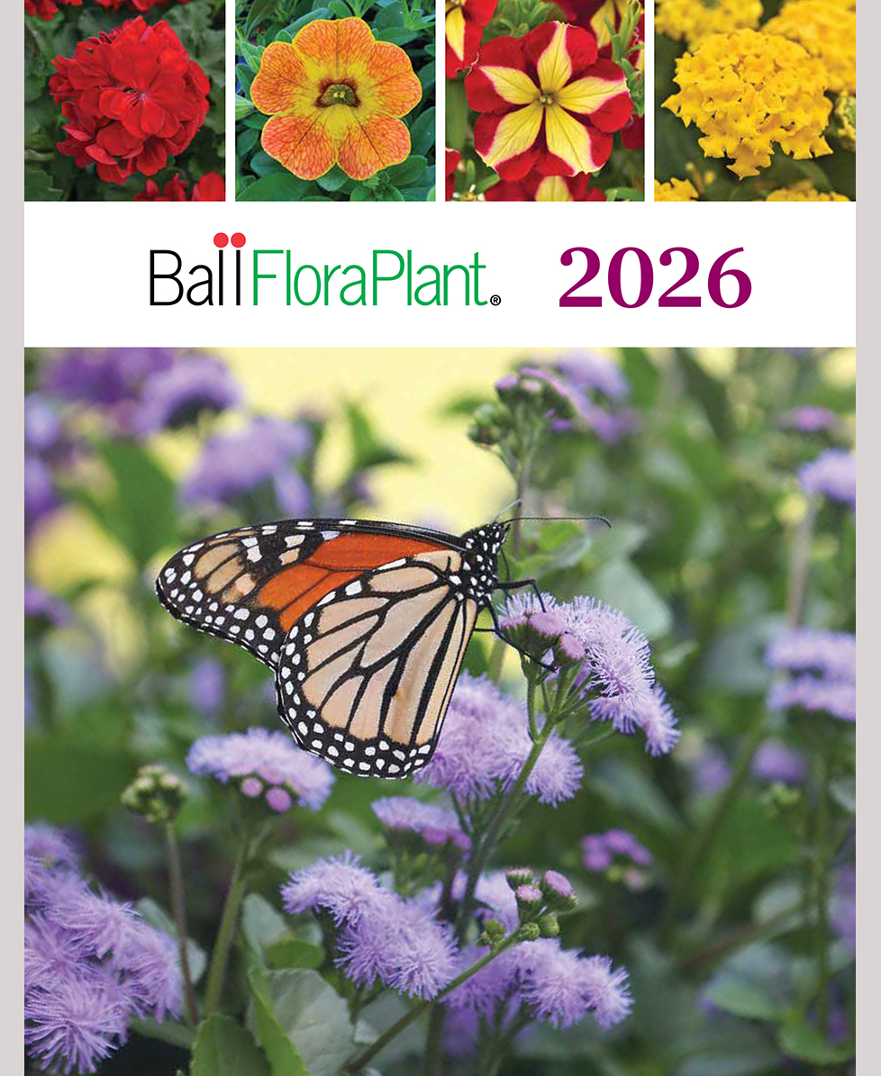 Latest Ball FloraPlant catalog