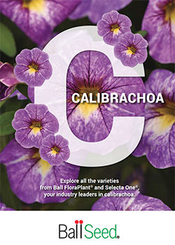 2023 Calibrachoa Brochure cover