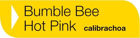 Bumble Bee Hot Pink calibrachoa