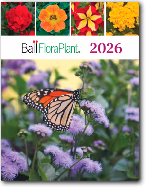 Download the 2026 Catalog