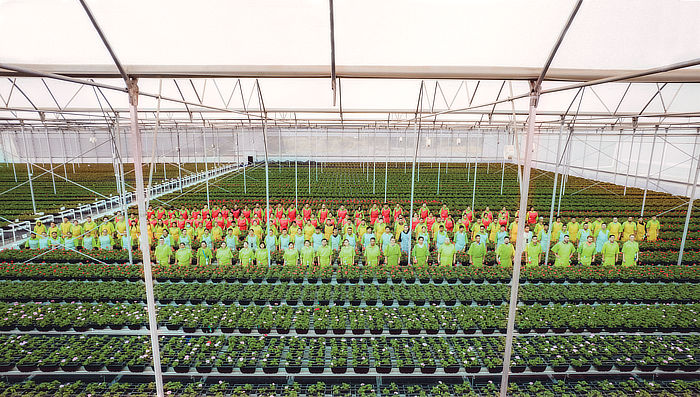 YecaFlora group photo