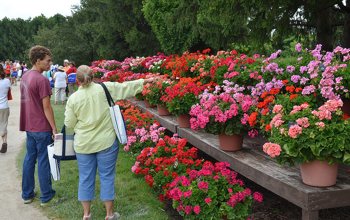 Viewing products from Ball FloraPlant