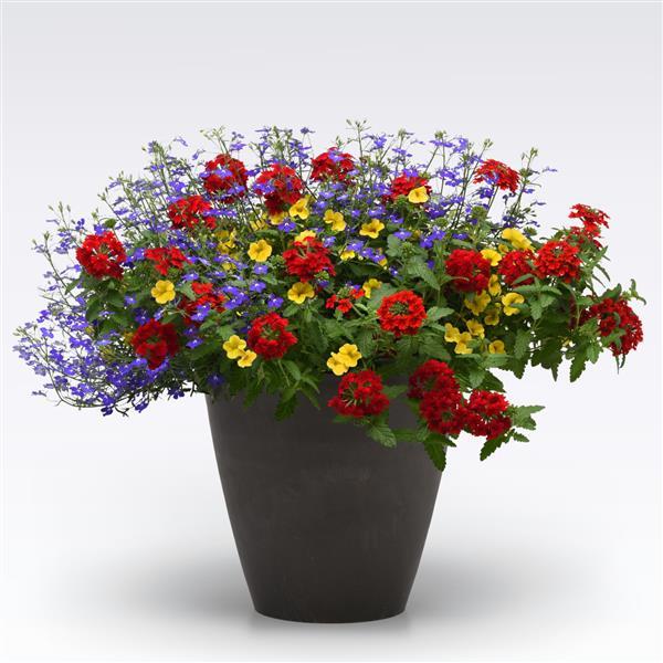 MixMasters™ Color Magic 26