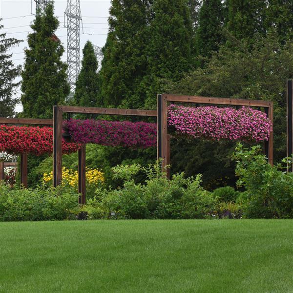 PLANT NAME Landscape